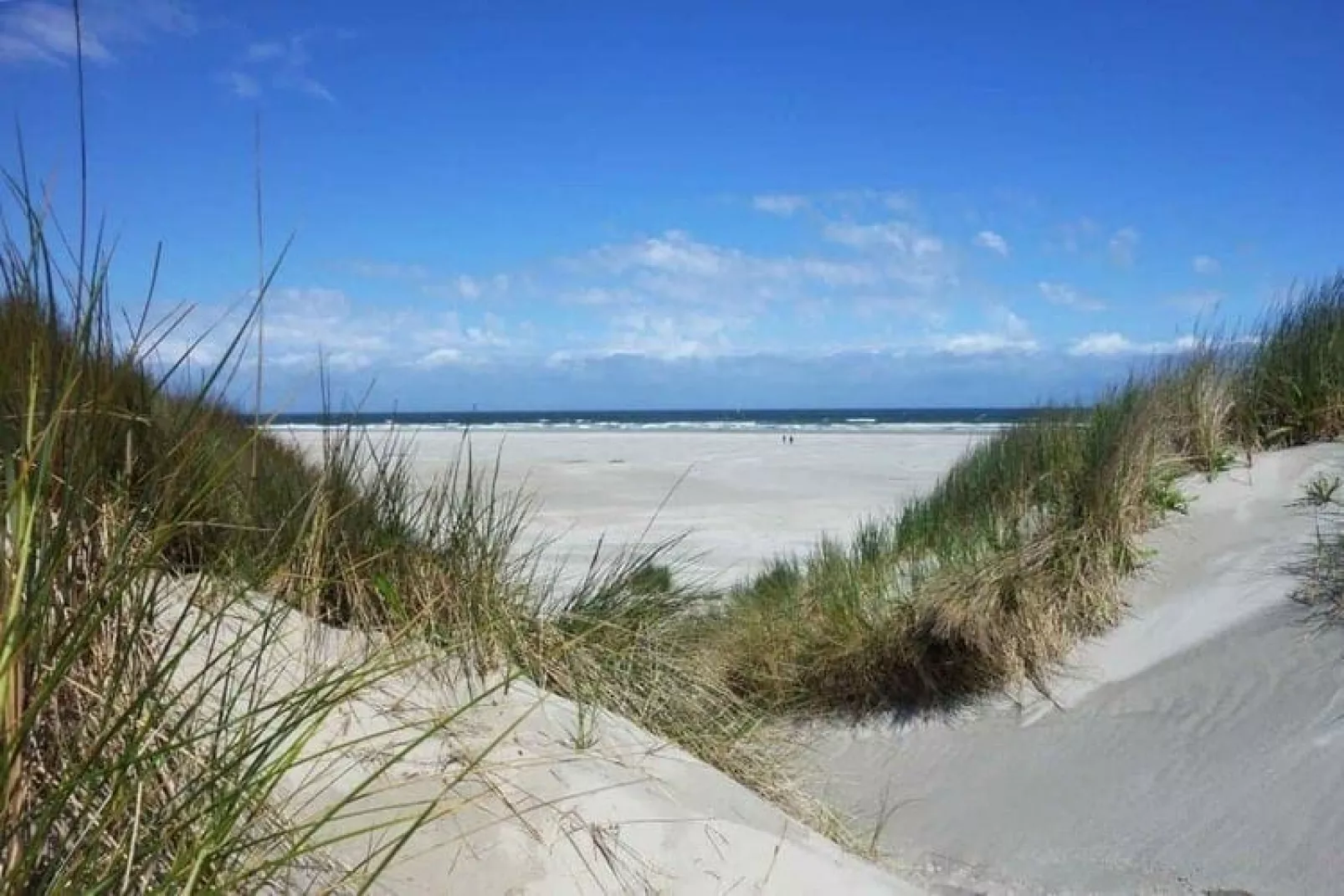 De Pauwenhof-Areas summer 20km
