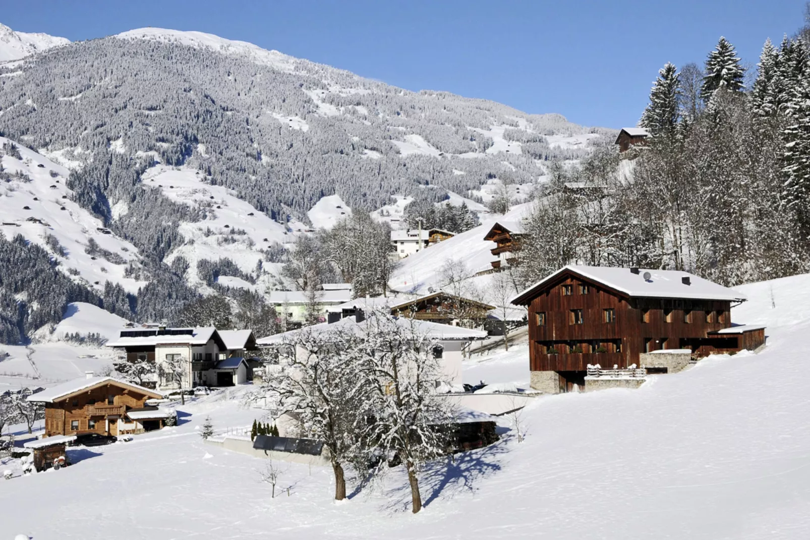Waidachhaus - 16 Personen-Exterior in winter