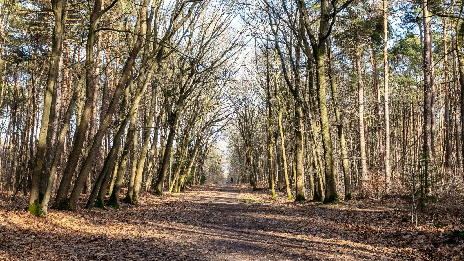 Ons Huis-Areas summer 5km