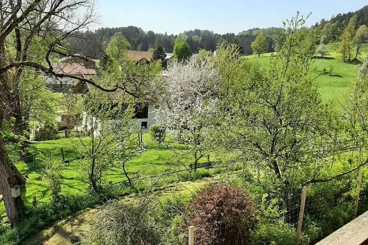 Ferienhaus Piller 6 Personen-Aussicht Sommer