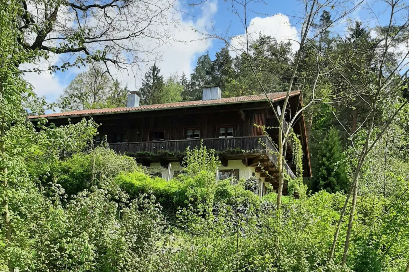 Ferienhaus Piller 6 Personen-Außenbereich Sommer