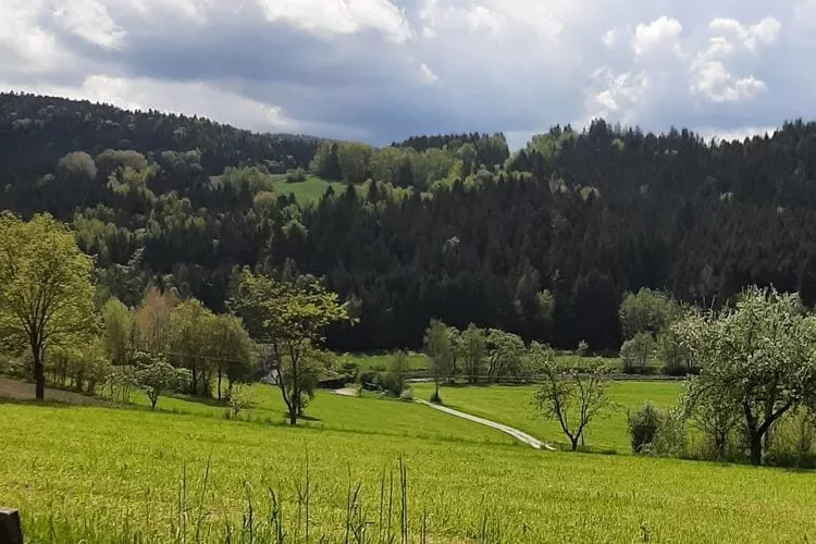 Ferienhaus Piller 6 Personen-Aussicht Sommer
