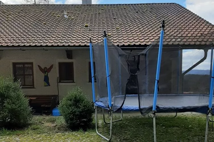 Ferienhaus Piller 6 Personen-Außenbereich Sommer