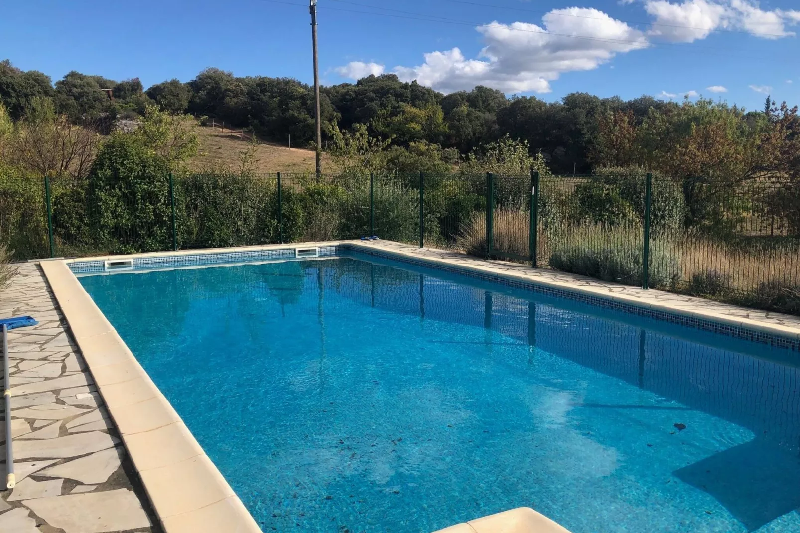 La Chouette de Minerve-Pool