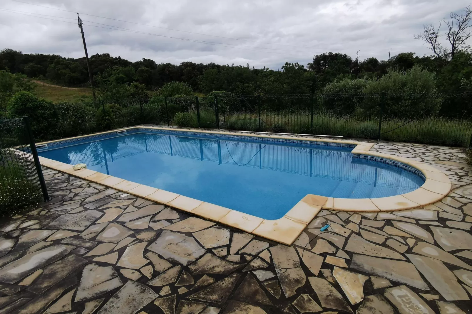 La Chouette de Minerve-Pool