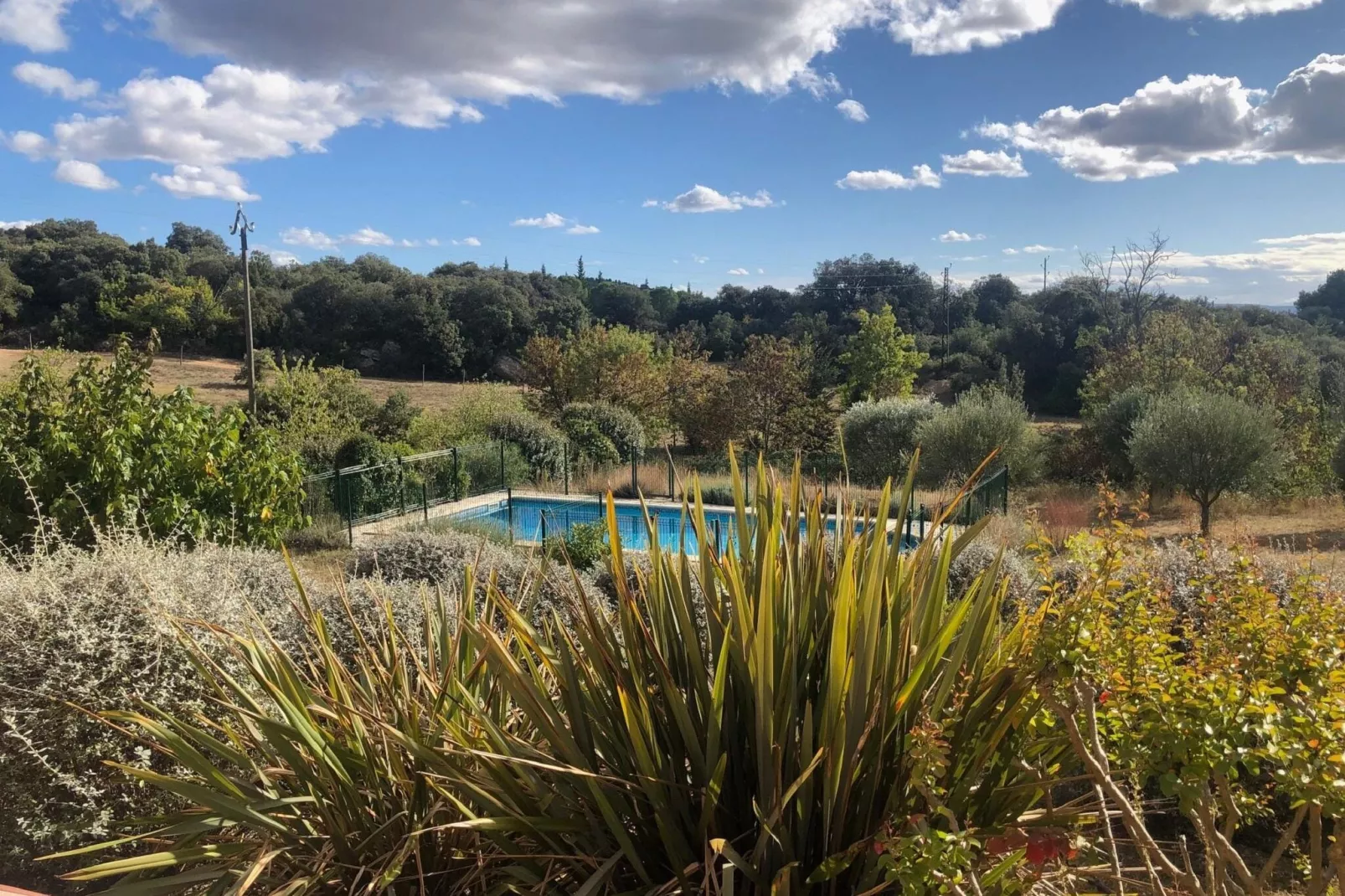 La Chouette de Minerve-Gardens summer