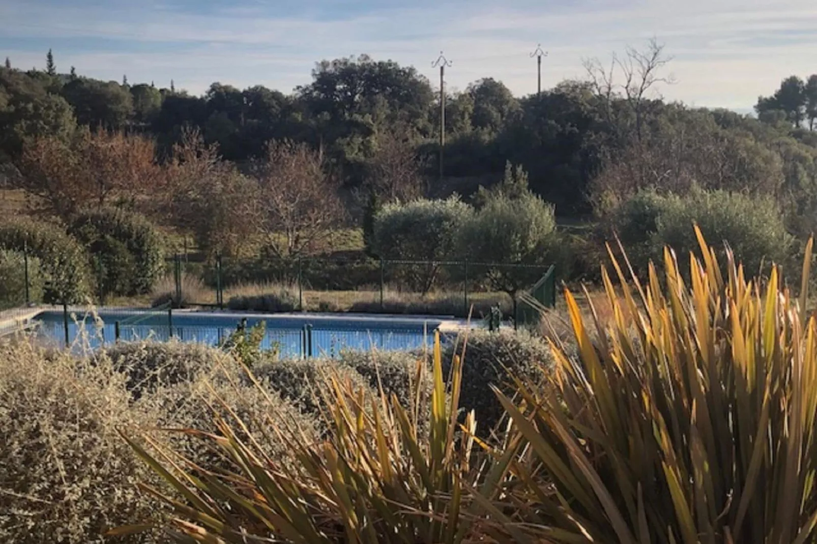 La Chouette de Minerve-Gardens summer