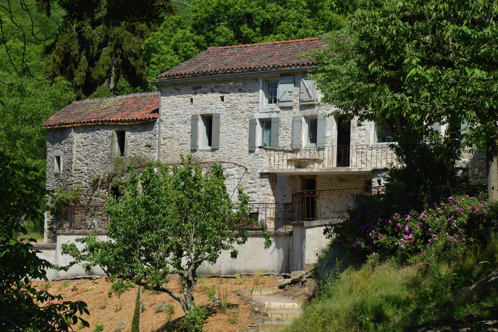 Domaine Courniou-Extérieur été