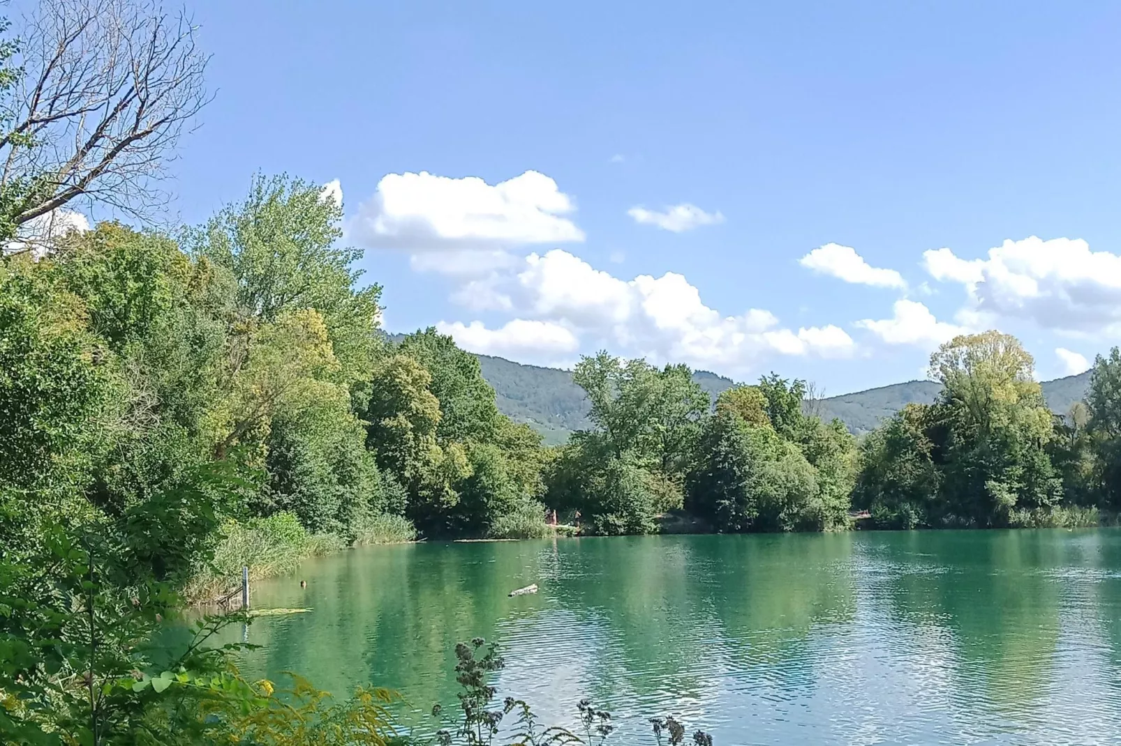 Ferienhaus mit eigener Bar am Bach in Saint Quirin-Areas summer 20km
