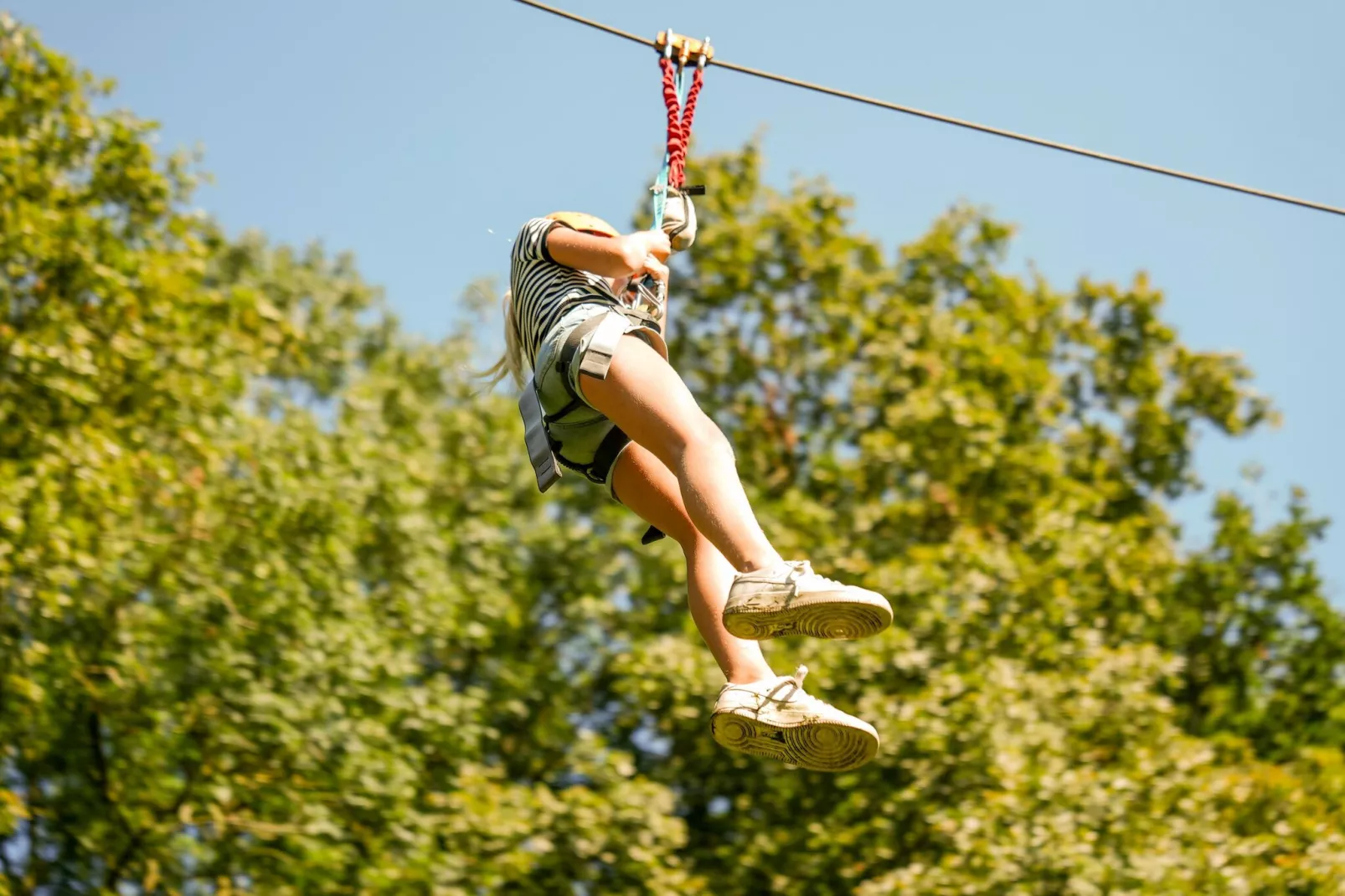 Hunzepark 15-Installations du parc
