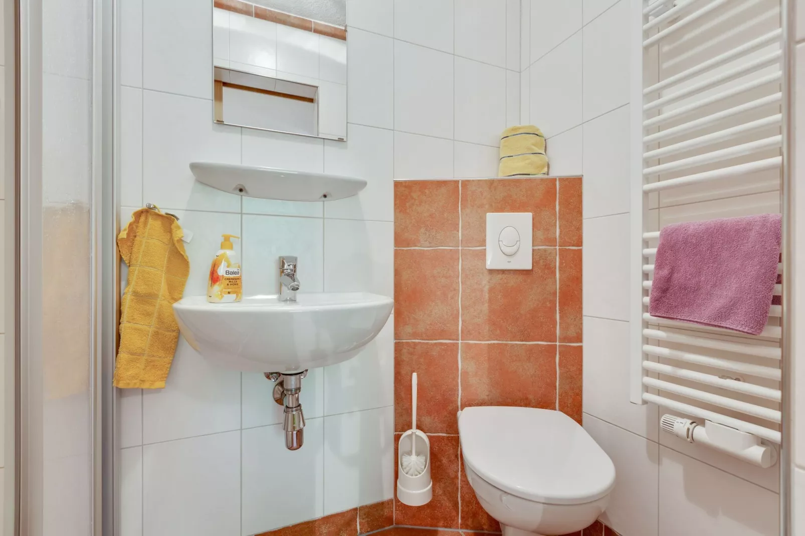 Schlossblick-Bathroom