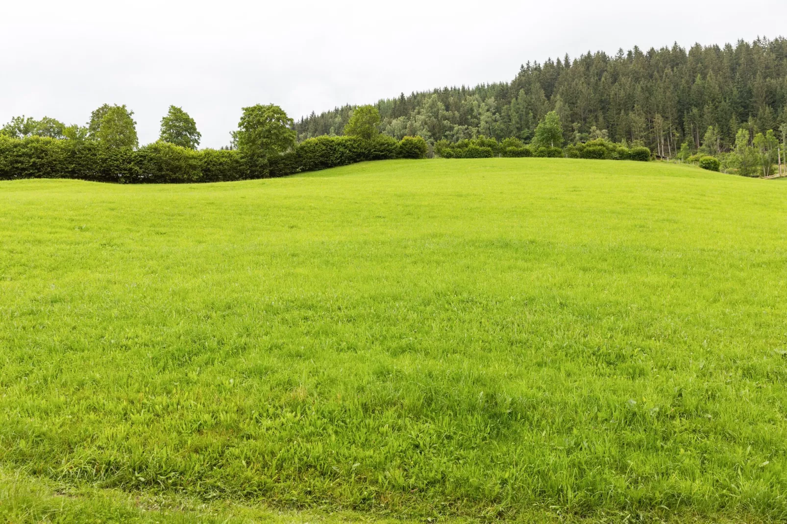 Schlossblick-Areas summer 5km