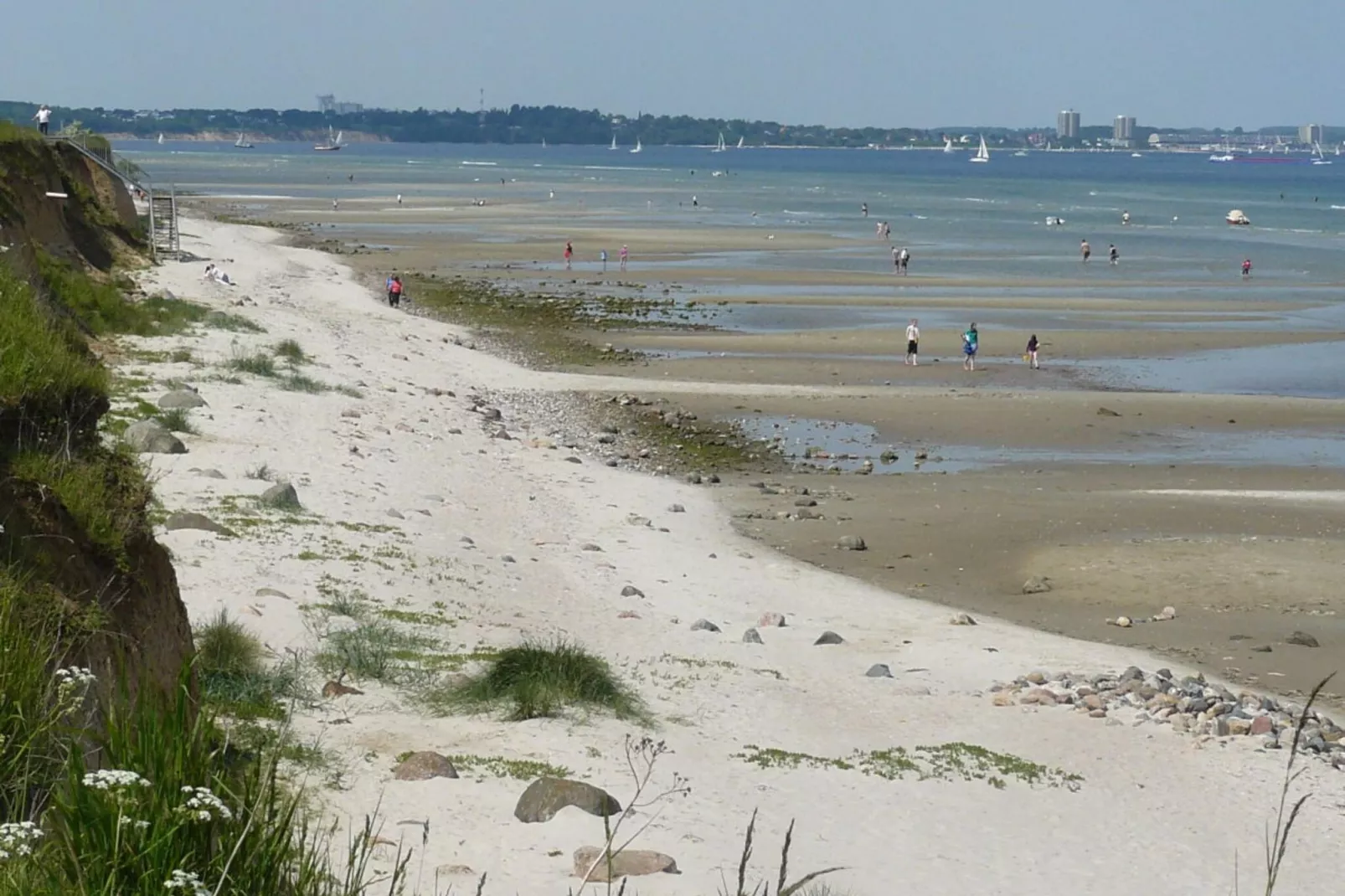 20202-View summer