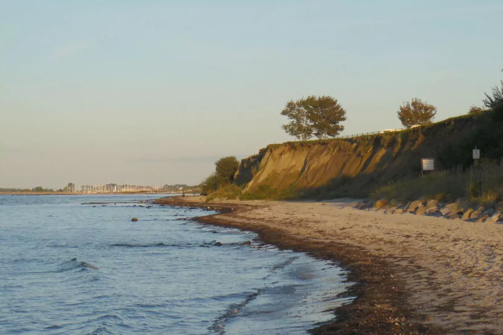 20202-View summer