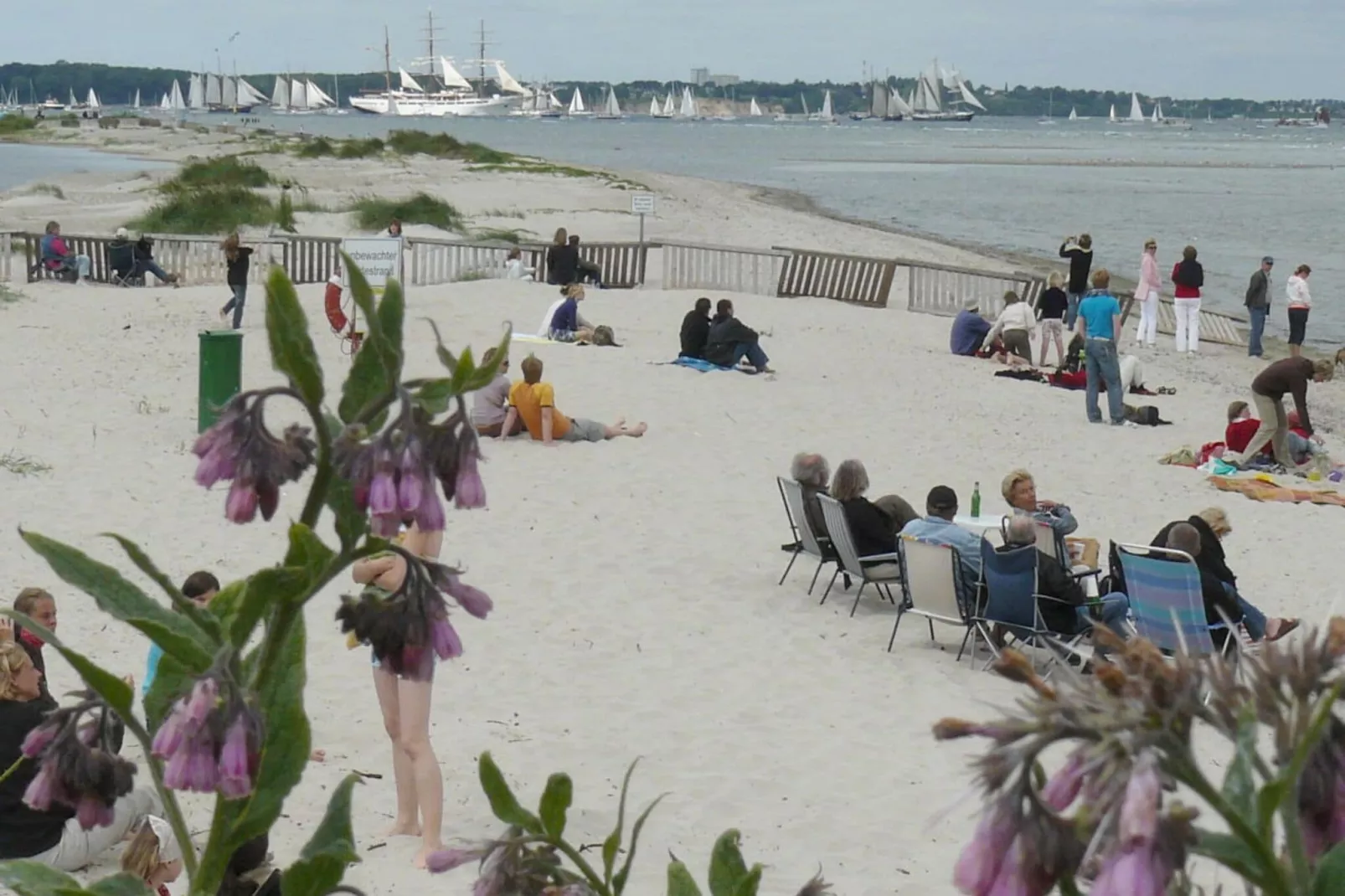 20202-View summer