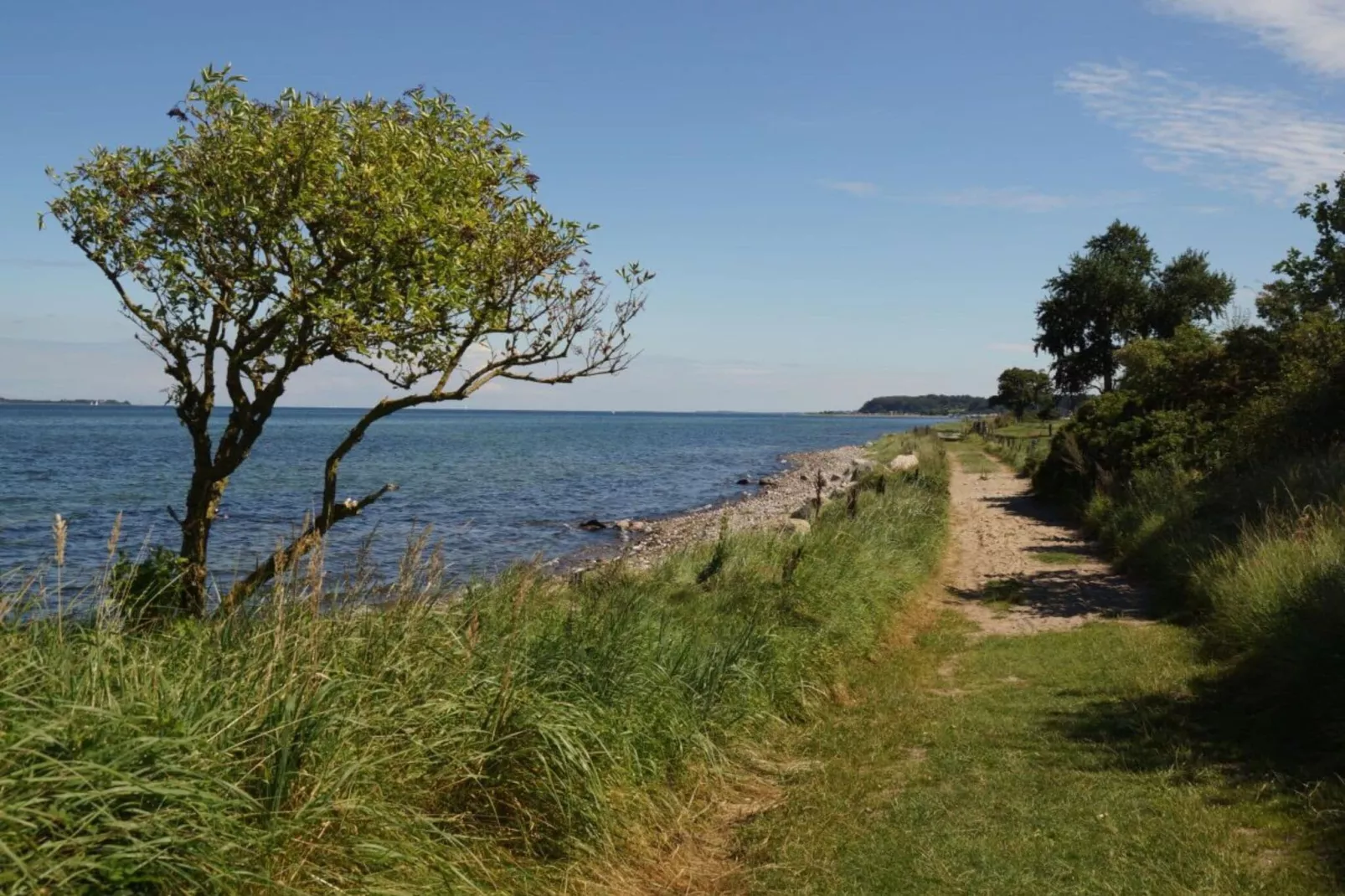 318573-Aussicht Sommer