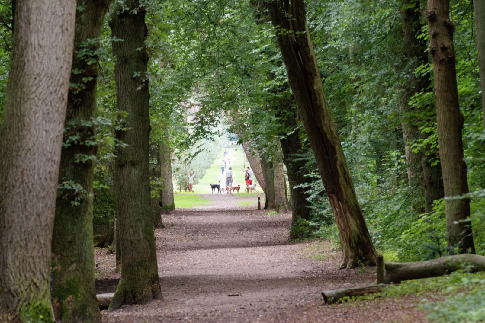Hof van Craeck 6 pers-Areas summer 5km