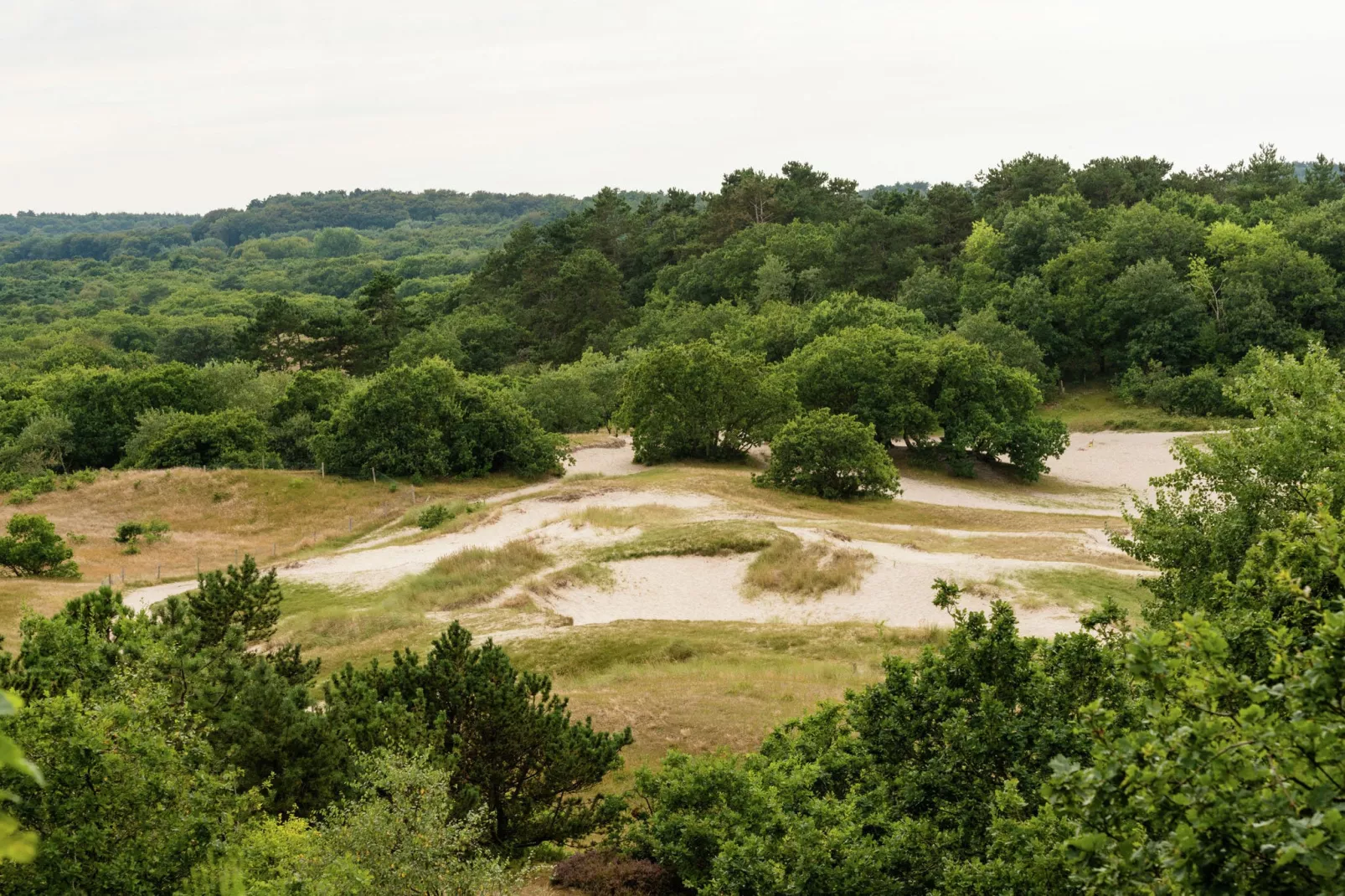 Hof van Craeck 6 pers-Areas summer 20km