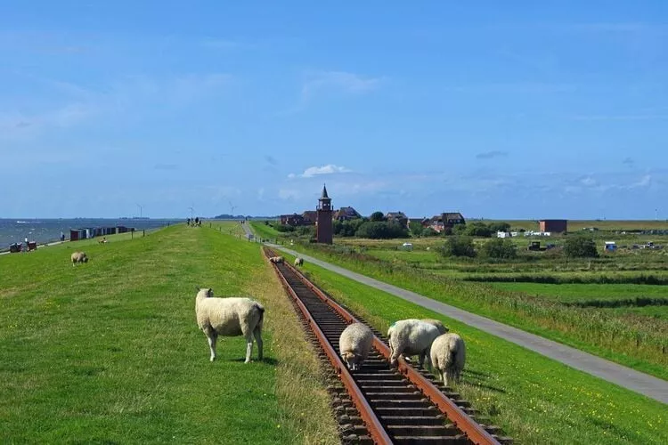 Niebüll-Ferienhaus Seebrise-Zones d'été à 5 km