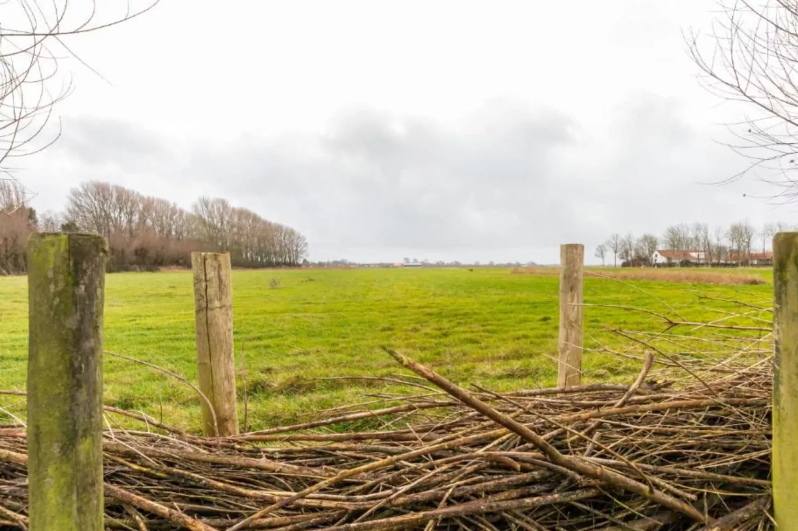 Grijpskerke 'De kleine Pionier'-View winter