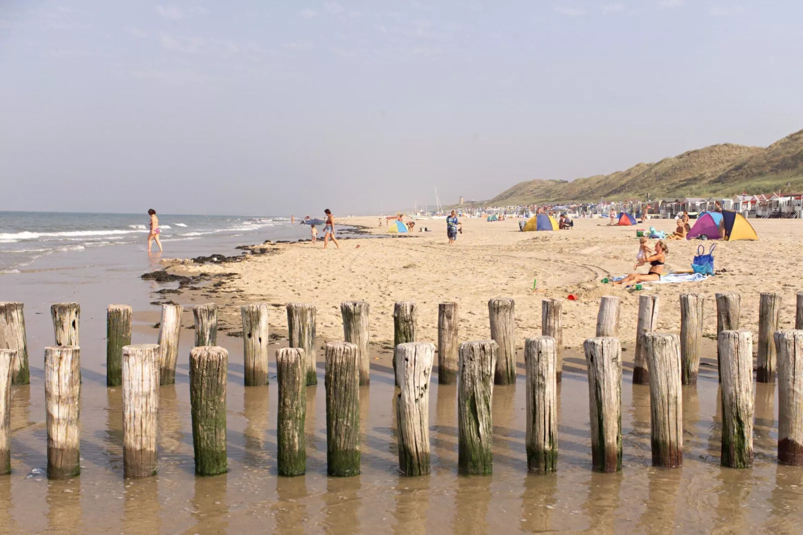Vakantiewoning ZEEBRIES-Areas summer 5km