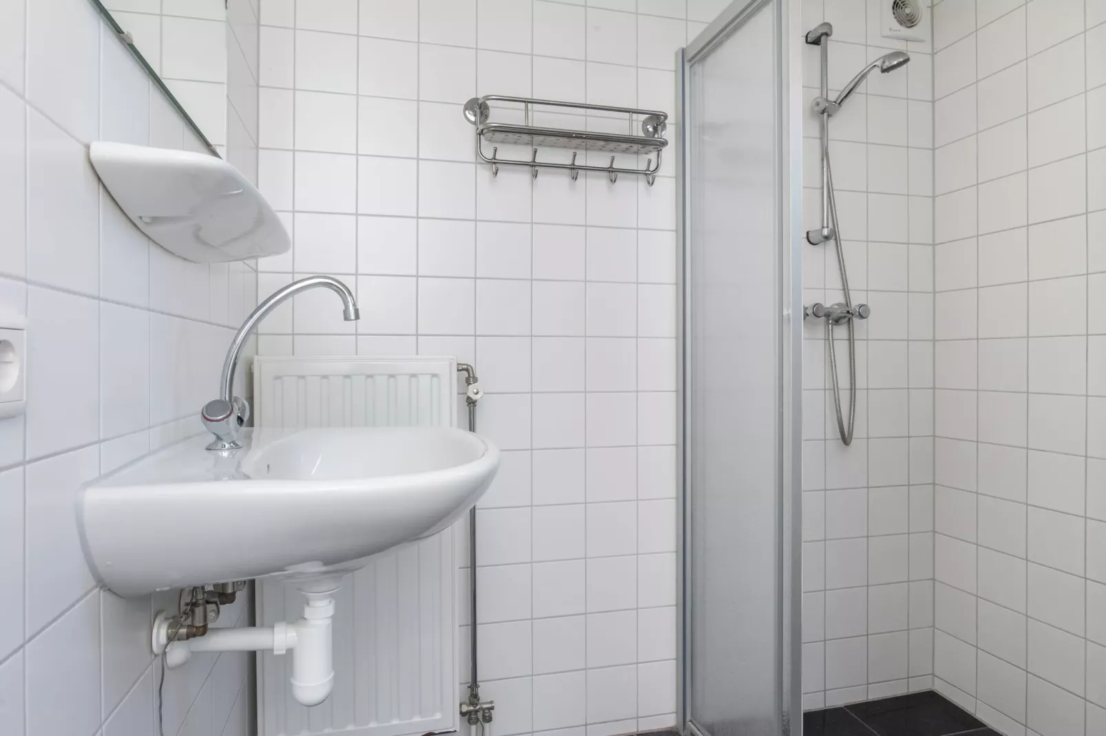 Recreatiepark de Stelhoeve 4-Bathroom