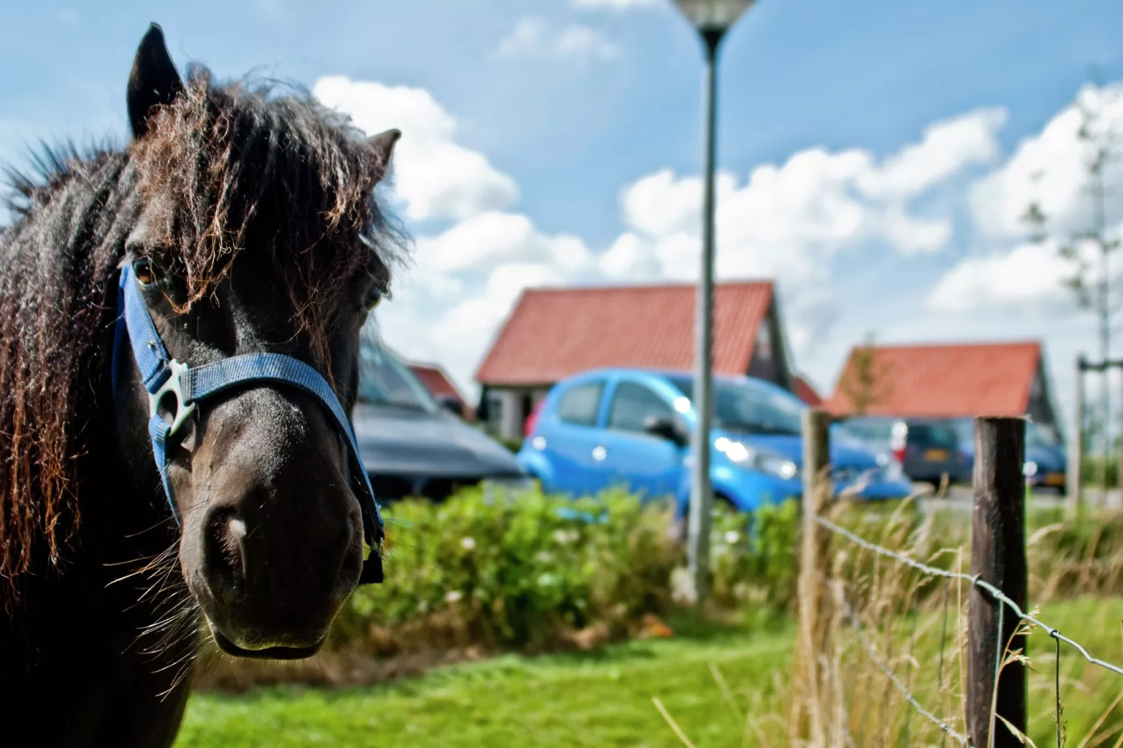 Recreatiepark de Stelhoeve 3-Gardens summer