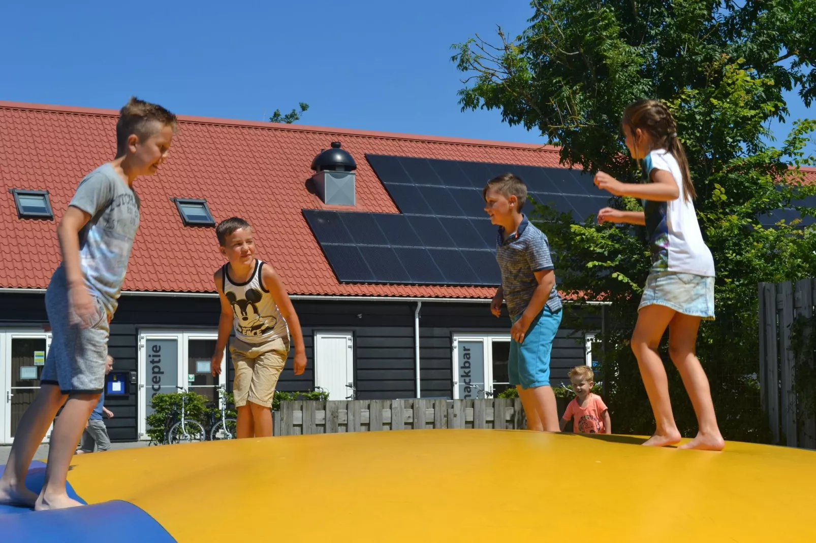 Vakantiepark Duinzicht 12-Park facilities