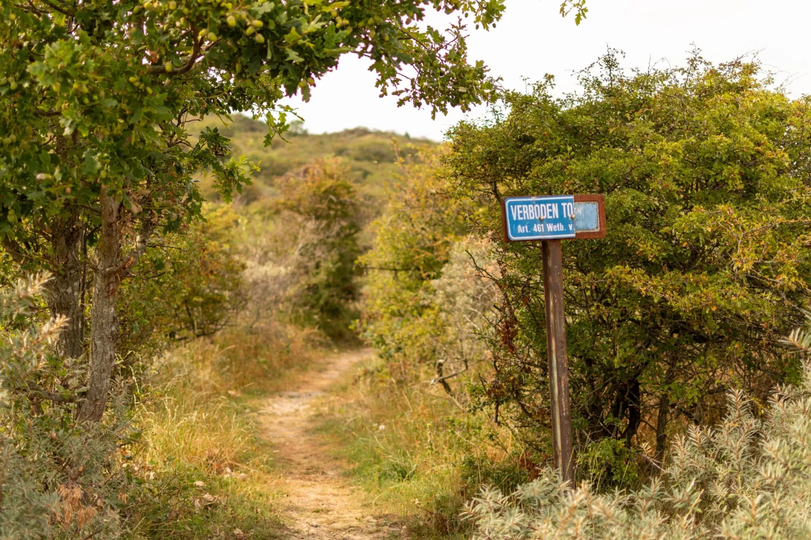Vakantiepark Duinzicht 12-Areas summer 5km