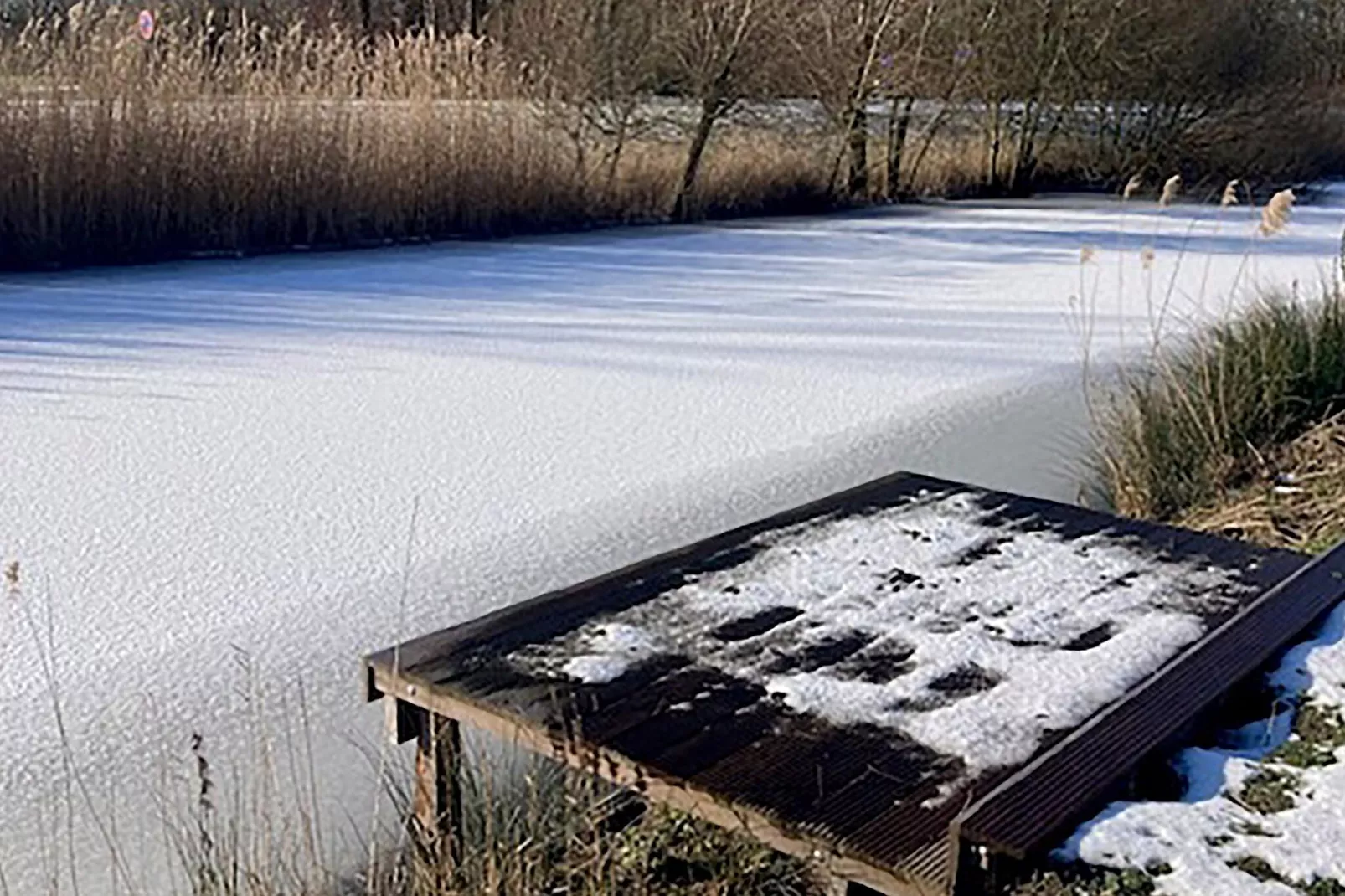 Kuifduiker 124-Garden winter