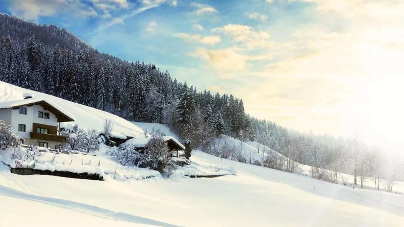 Linden Platzl-Exterior winter