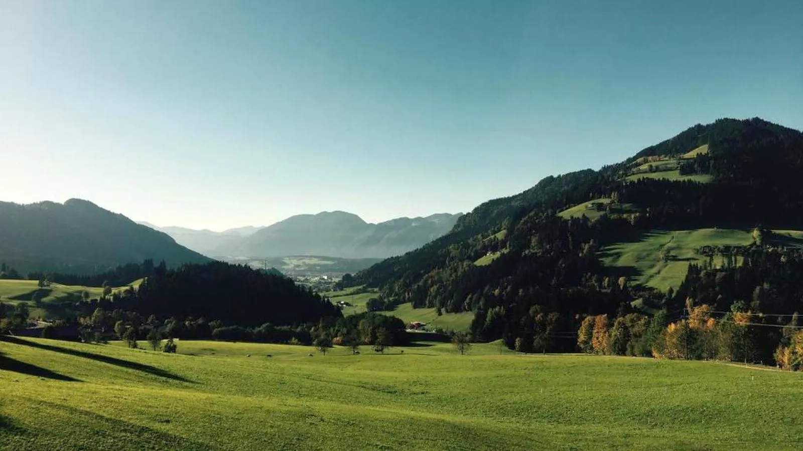 Linden Platzl-View summer