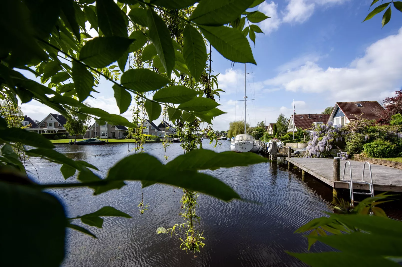 areasummer1km