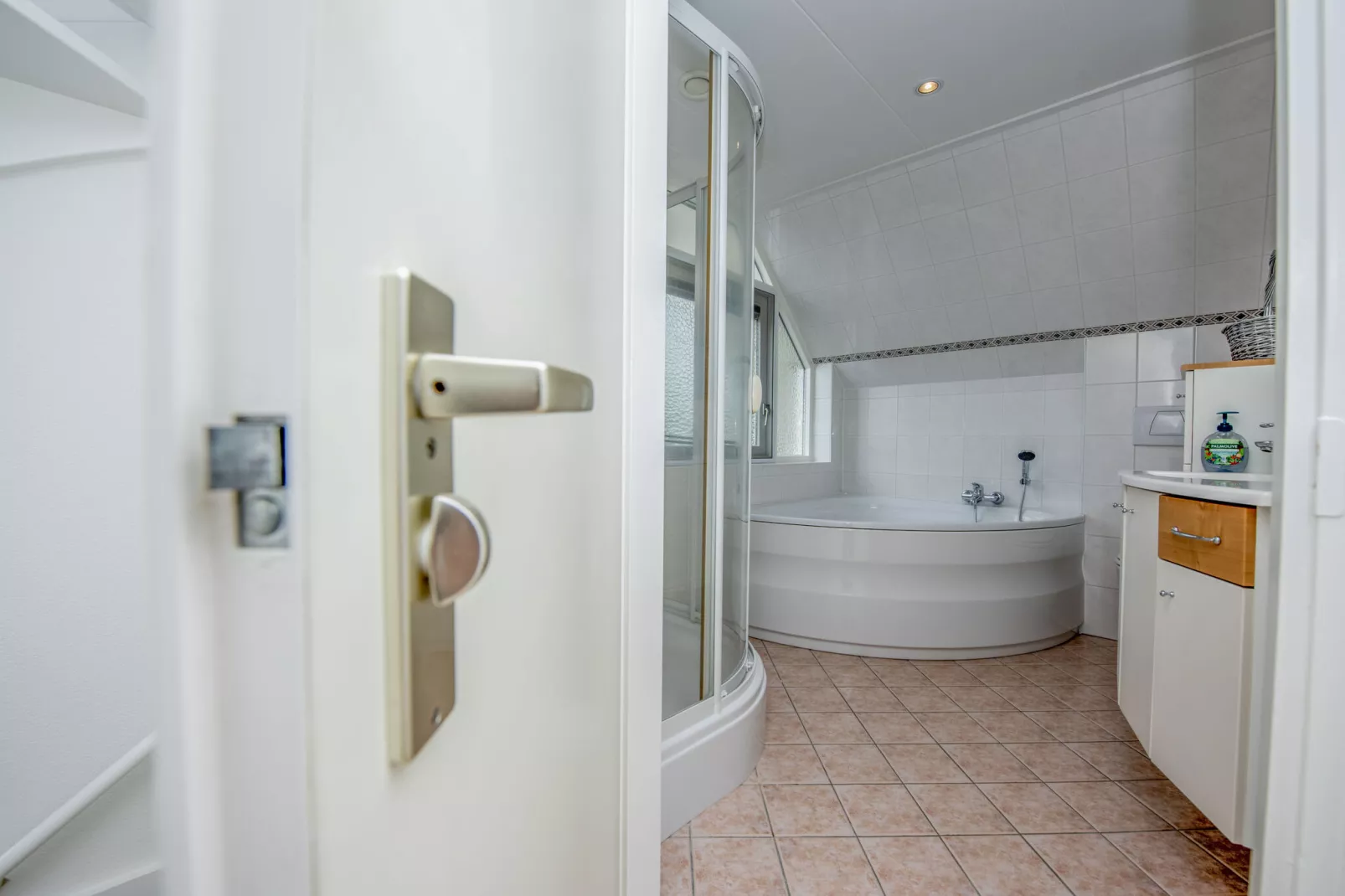 Villa aan het water in Terherne-Salle de bain