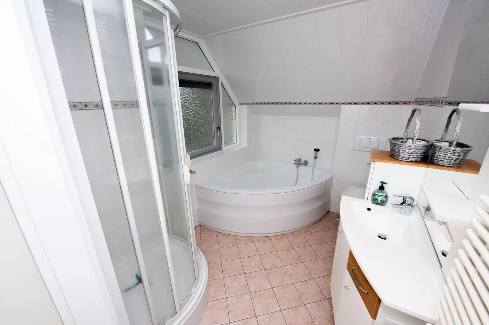Villa aan het water in Terherne-Salle de bain