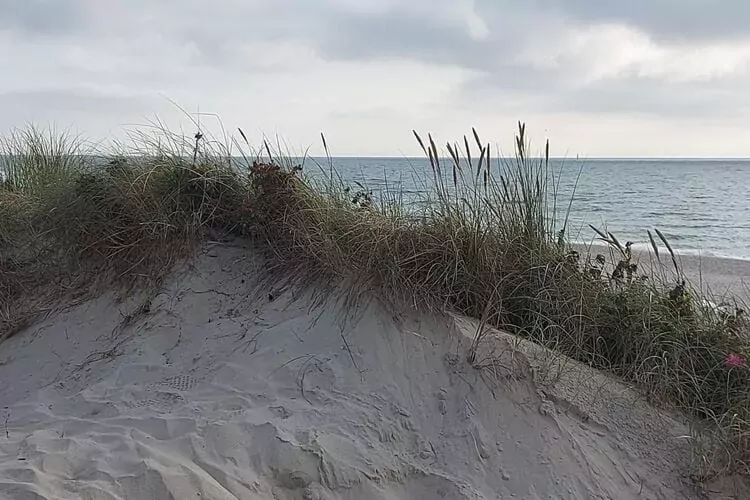 Niebüll-Ferienhaus Seebrise-Zones d'été à 5 km