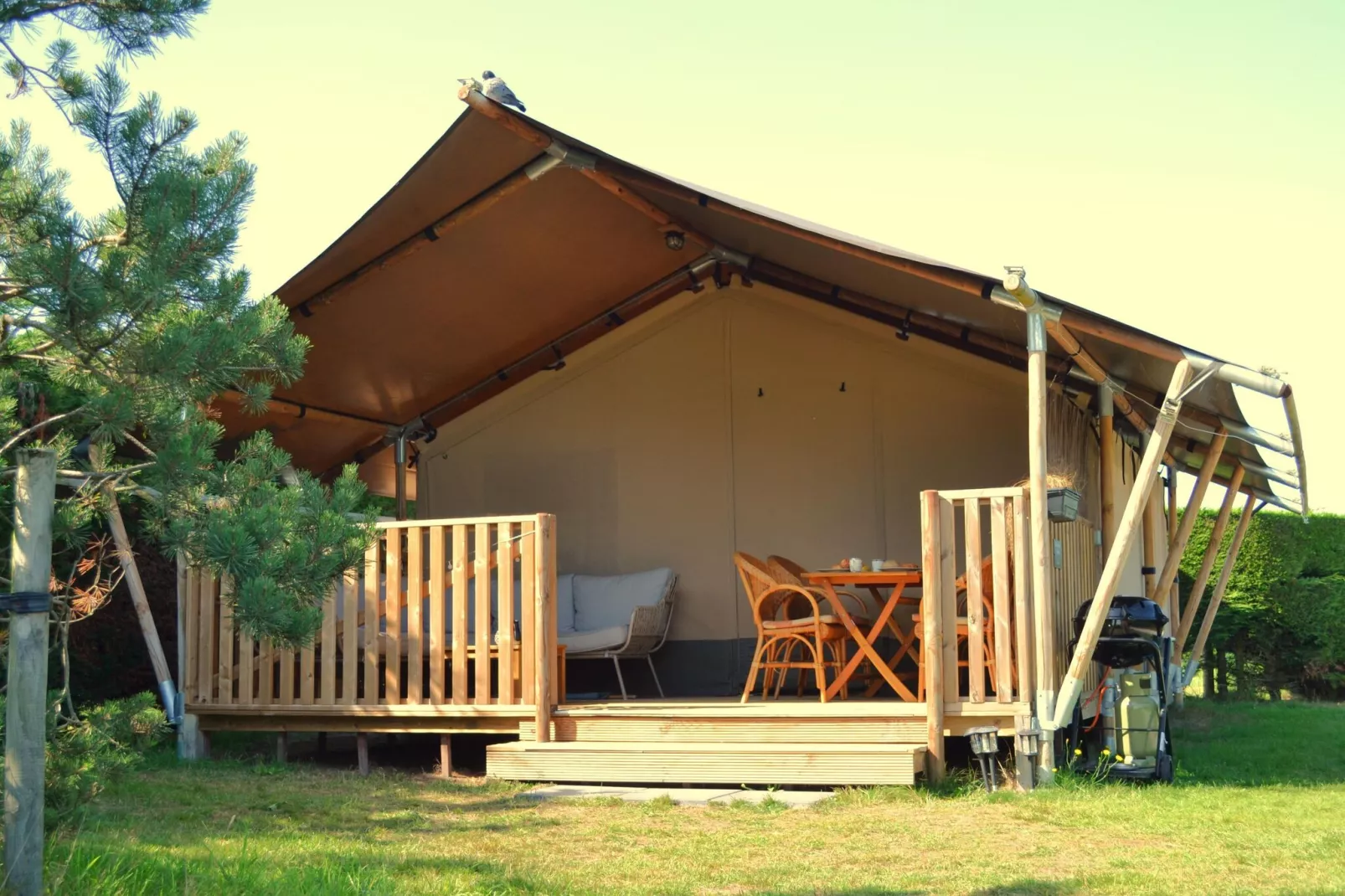 Luxe safaritent op Ameland-Exterior summer