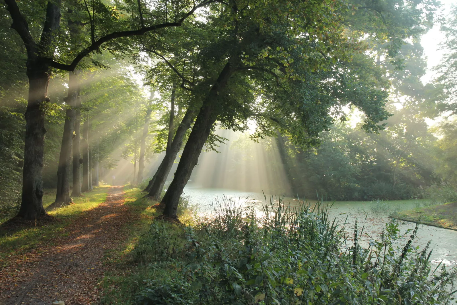 Huize Glory Bergkristal-Areas summer 5km