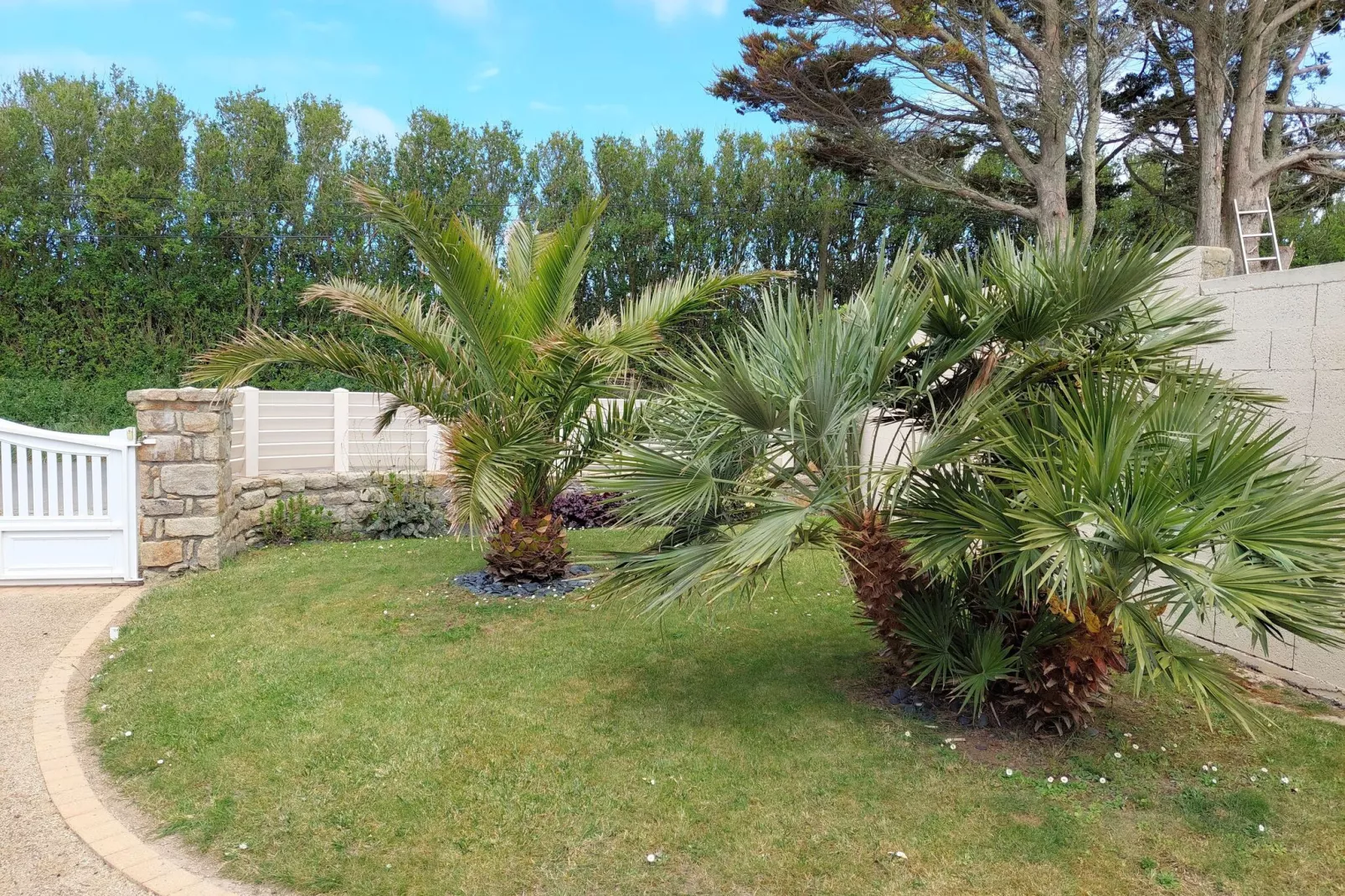 Bretonisches Ferienhaus in Strandnähe Plouescat-Gärten Sommer
