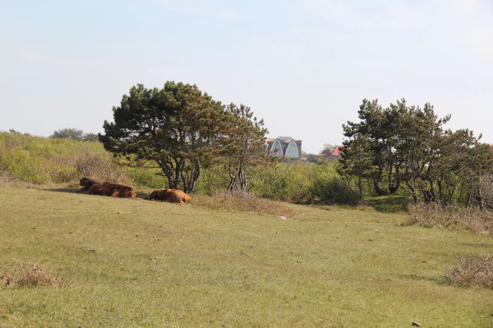 Huize Glory Tijgeroog-Areas summer 1km