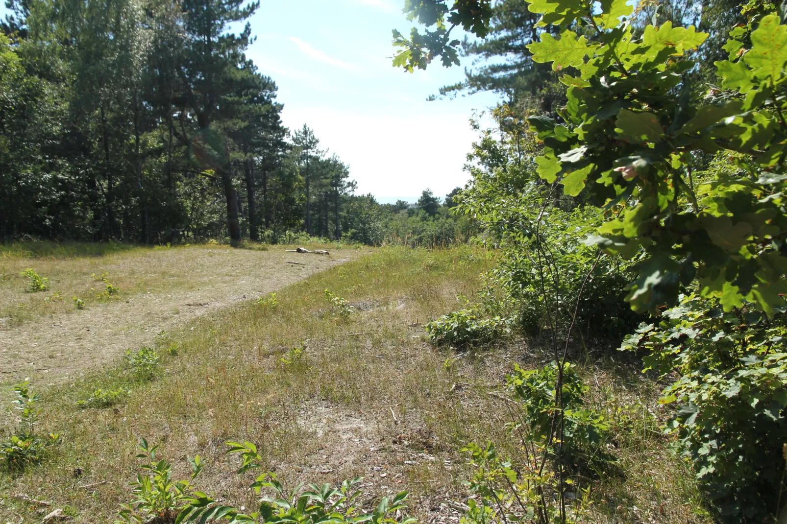 Huize Glory Topaas-Areas summer 1km