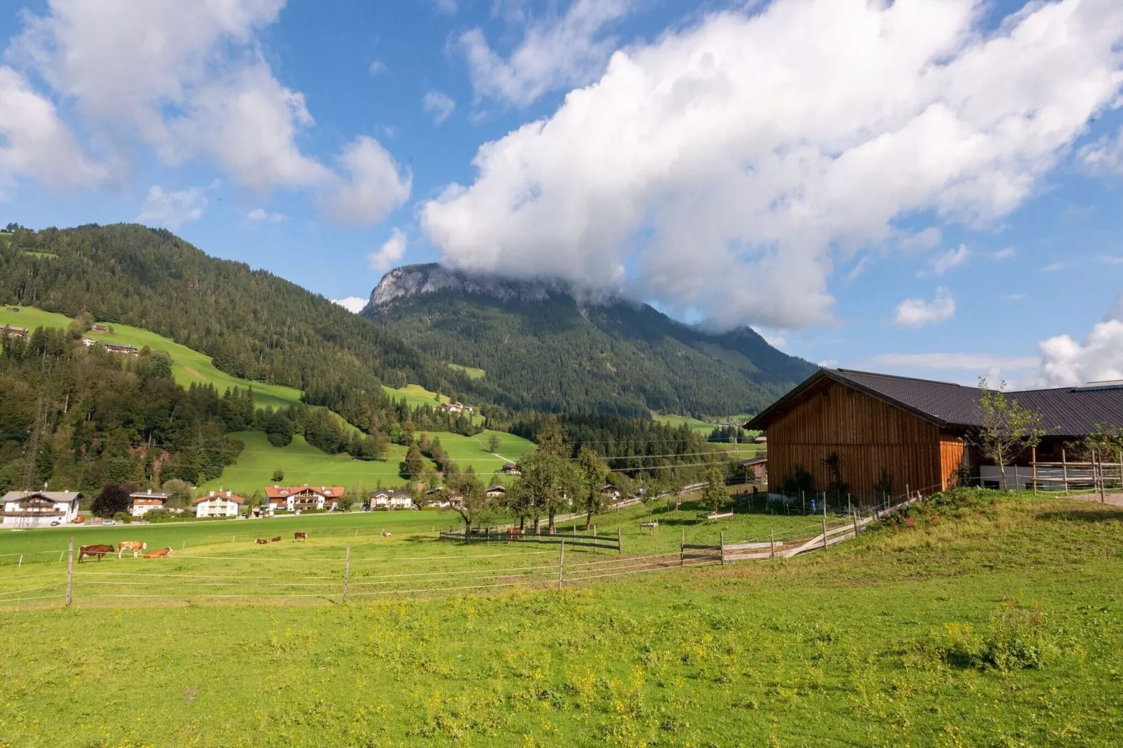 Horngacher-Areas summer 5km