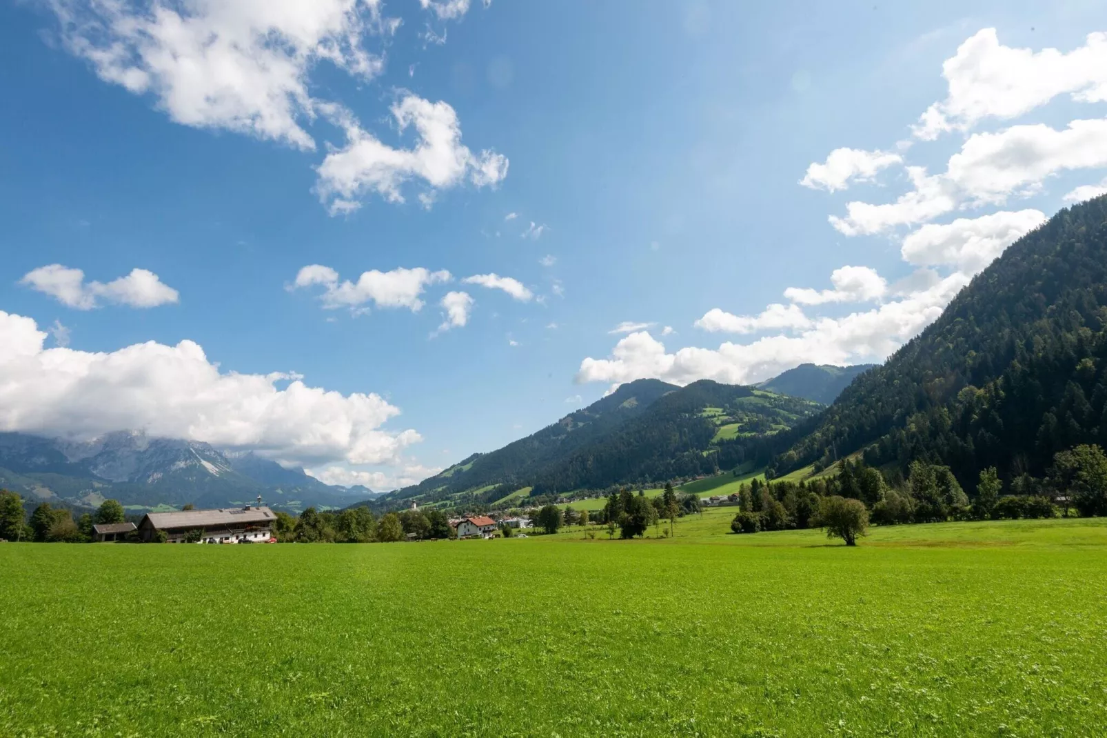Horngacher-Areas summer 5km
