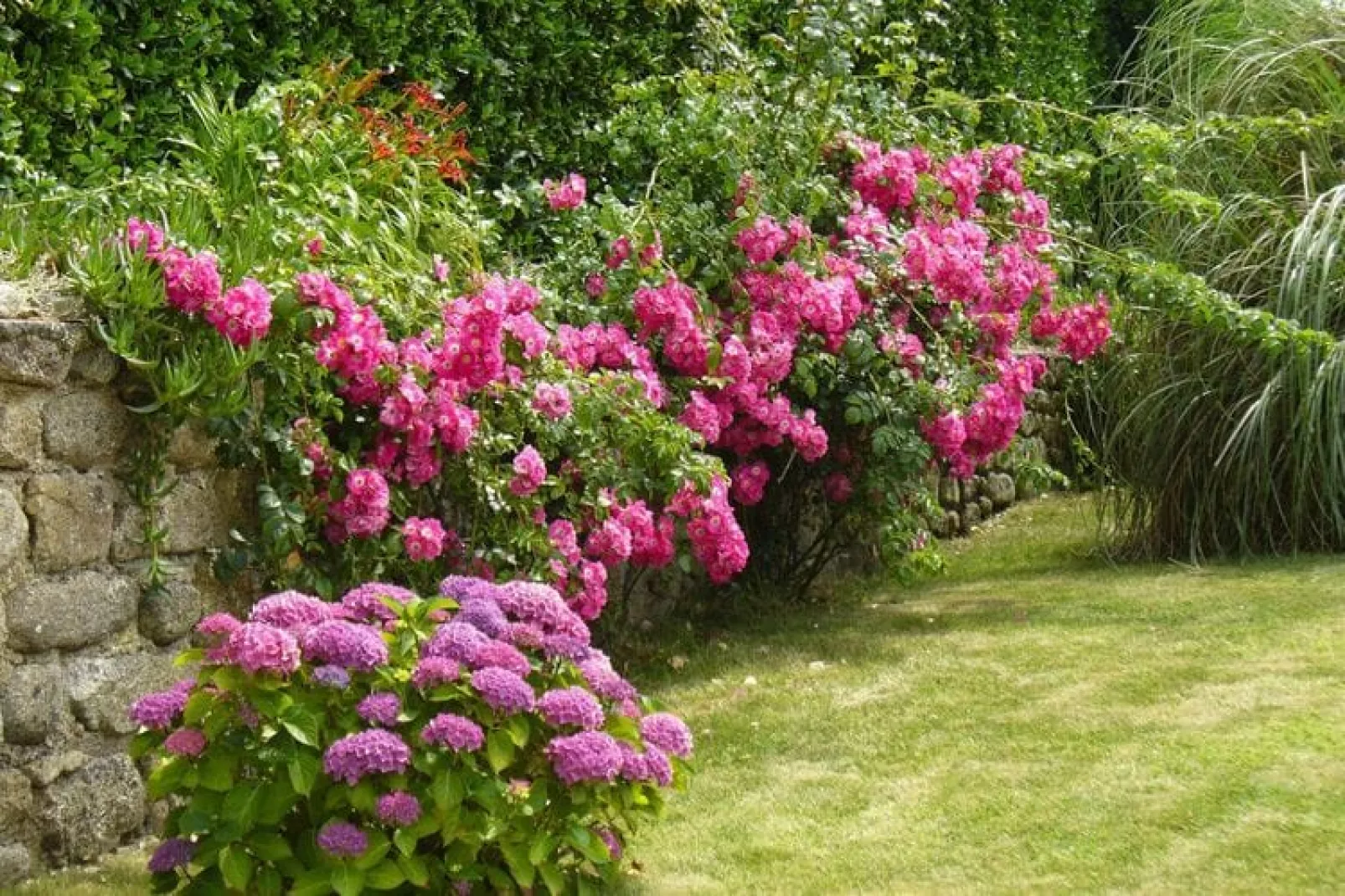 Ferienhaus in Strandnähe Plouarzel-Gardens summer