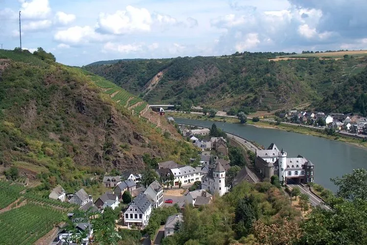 42488-View