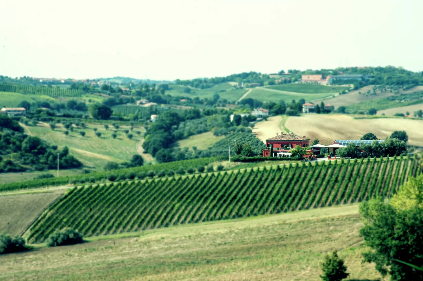 Campo Quattro-Areas summer 1km