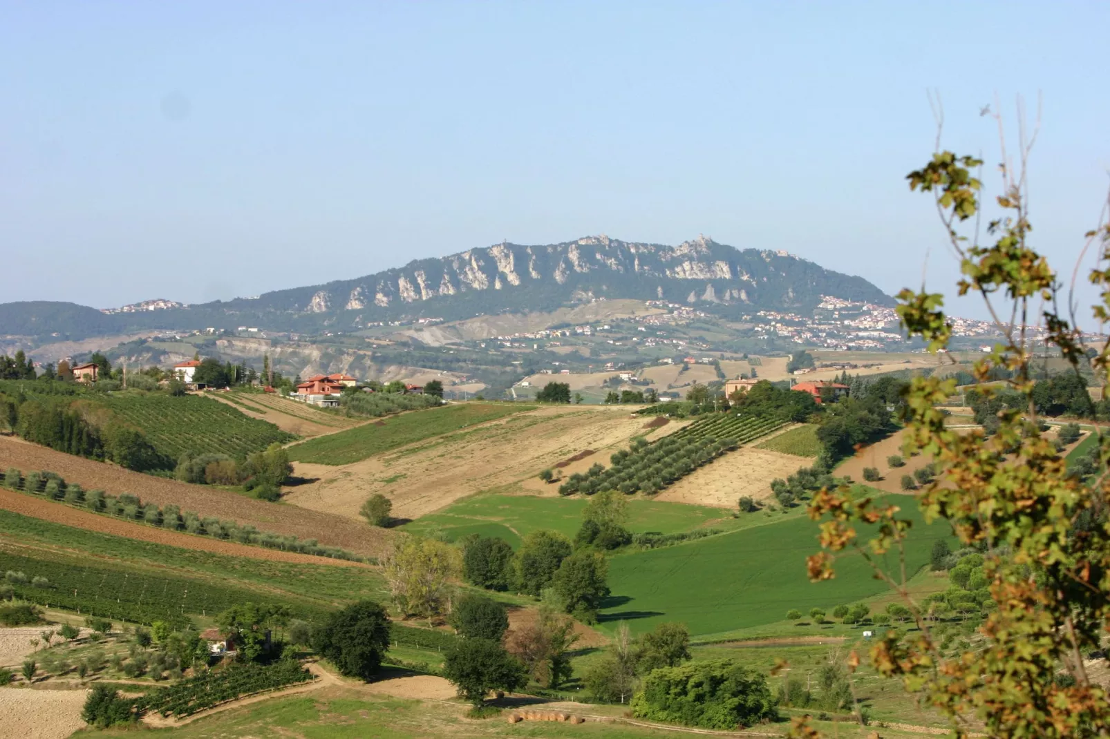 Campo Quattro-Areas summer 1km