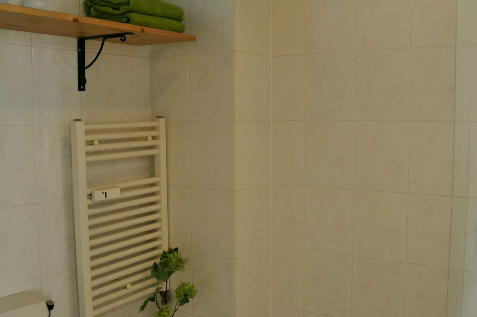 Bosch en Duyn-Bathroom