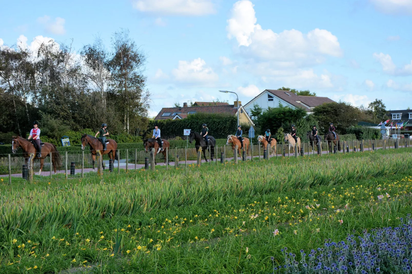 Bosch en Duyn-Areas summer 1km