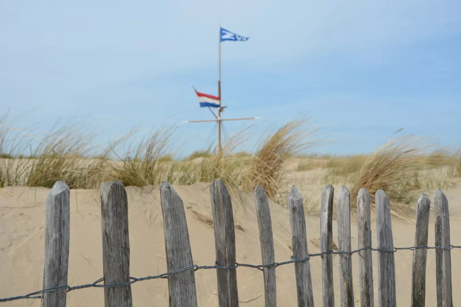 Bosch en Duyn-Areas summer 5km